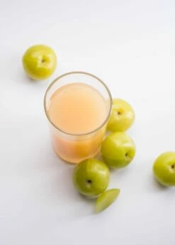 Amla, Indian Gooseberry (Phyllanthus Emblica) 15 Amla, Indian Gooseberry (Phyllanthus Emblica) -Wilson Bros Gardens Shop 0155d9 3b5de06aba48400d81ff751687c2b82b mv2 d 1869 2800 s 2