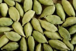 Cardamom (Elettaria Cardamomum) -Wilson Bros Gardens Shop 0155d9 bd2e6558ee5a48caa276691abb5c3ead mv2 d 2800 1863 s 2