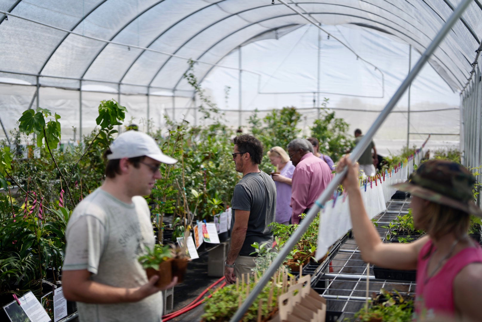 Front Page -Wilson Bros Gardens Shop 10001