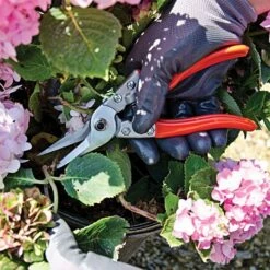 Leonard Straight Blade Pruning Shears, 8.625-inch Length 9 Leonard Straight Blade Pruning Shears, 8.625-inch Length -Wilson Bros Gardens Shop 1204 4