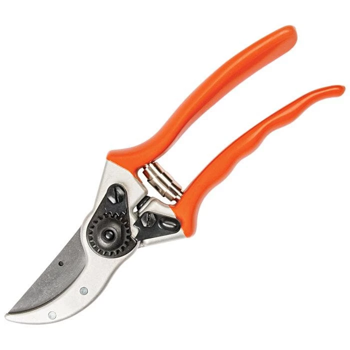 Leonard Saw, Pruner And Dual Case Combo Kit 7 Leonard Saw, Pruner And Dual Case Combo Kit - Image 7