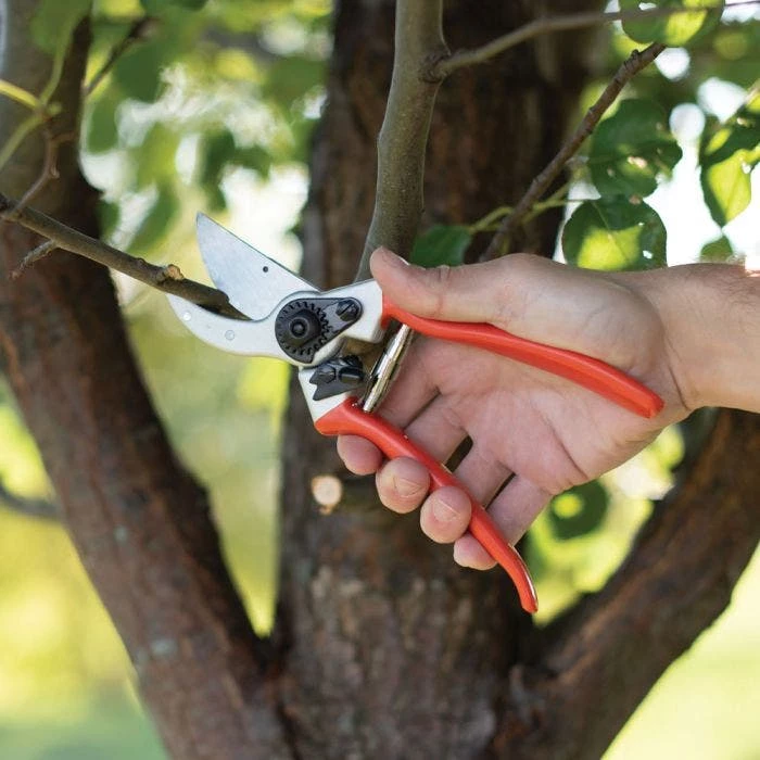 Traditional Bypass Pruners By A.M. Leonard, 1in Cutting Capacity, Lifetime Warranty 8 Traditional Bypass Pruners By A.M. Leonard, 1in Cutting Capacity, Lifetime Warranty - Image 8