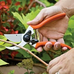Traditional Bypass Pruners By A.M. Leonard, 1in Cutting Capacity, Lifetime Warranty 15 Traditional Bypass Pruners By A.M. Leonard, 1in Cutting Capacity, Lifetime Warranty -Wilson Bros Gardens Shop 1286 9