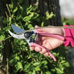 Pink Leonard Traditional Bypass Pruners, 1-Inch Cutting Capacity 11 Pink Leonard Traditional Bypass Pruners, 1-Inch Cutting Capacity -Wilson Bros Gardens Shop 1286p 4