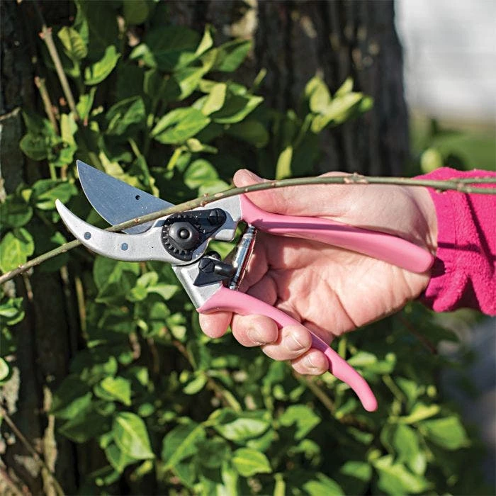 Pink Leonard Traditional Bypass Pruners, 1-Inch Cutting Capacity 5 Pink Leonard Traditional Bypass Pruners, 1-Inch Cutting Capacity - Image 5
