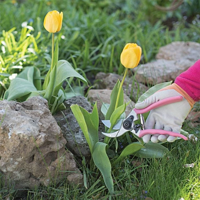 Pink Leonard Traditional Bypass Pruners, 1-Inch Cutting Capacity 6 Pink Leonard Traditional Bypass Pruners, 1-Inch Cutting Capacity - Image 6
