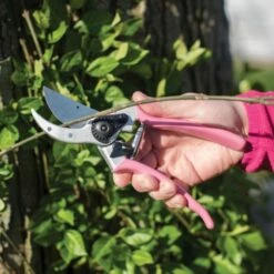 Leonard Pink Traditional Bypass Pruner With Sheath And Belt -Wilson Bros Gardens Shop 1286pcomb 3 1