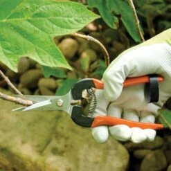 Leonard Needle Nose Hand Shears, 7.625-inch Overall Length -Wilson Bros Gardens Shop 1290 5