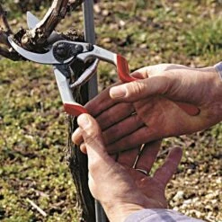 Felco 13 Multipurpose Pruning Shears - Use With 1 Or 2 Hands -Wilson Bros Gardens Shop 13fel in use
