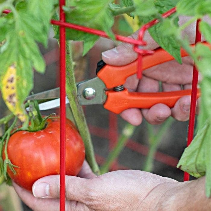 Leonard Pointed Tip Stainless Steel Hand Shears, 7.5-inch Length 3 Leonard Pointed Tip Stainless Steel Hand Shears, 7.5-inch Length - Image 3