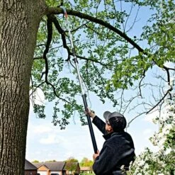 Leonard 4-Section Aluminum Telescopic Pole Saw With 16-Inch Blade -Wilson Bros Gardens Shop 18tps live vert7