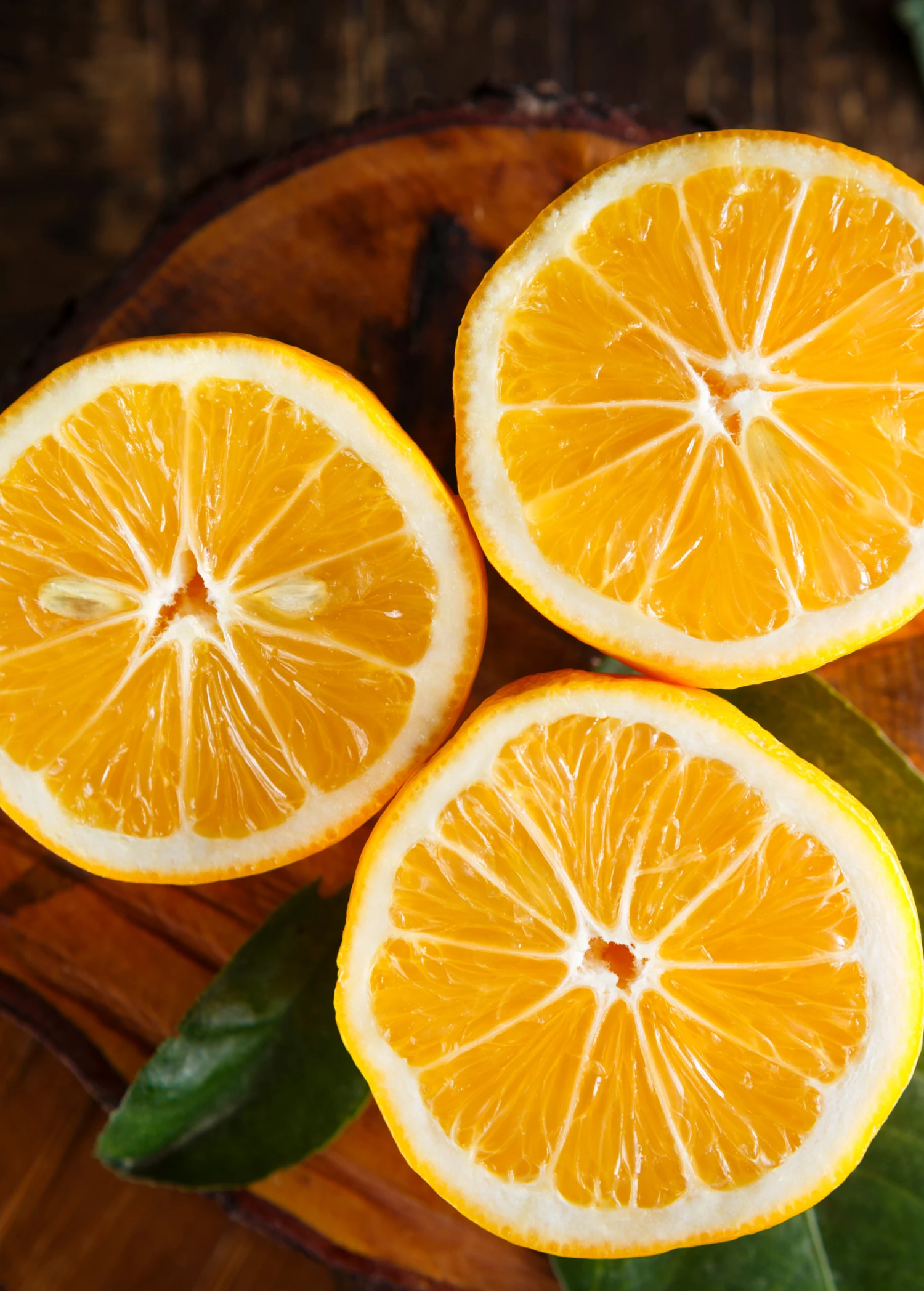 Meyer Lemon (Citrus × Meyeri) 1 Meyer Lemon (Citrus × Meyeri)