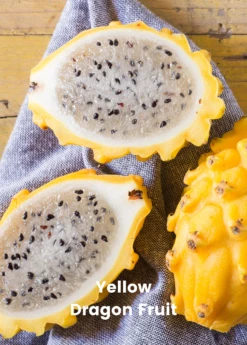 Dragon Fruit Bundle: 'Edgar's Baby' Dragon Fruit & Sweet Yellow Dragon Fruit -Wilson Bros Gardens Shop 1 8