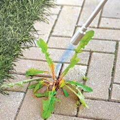 Front Page -Wilson Bros Gardens Shop 2230 1