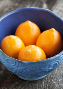 Meyer Lemon (Citrus × Meyeri) 15 Meyer Lemon (Citrus × Meyeri) -Wilson Bros Gardens Shop 2 b8f139e8 89a6 4fec 87d7 ef00c1f49d19