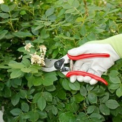 Felco 2 Classic Model - One-Hand Pruning Shear -Wilson Bros Gardens Shop 2fel 7