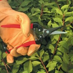 ARS Needle Nose Hand Shears, 7.5-inch Length -Wilson Bros Gardens Shop 300l 4 1