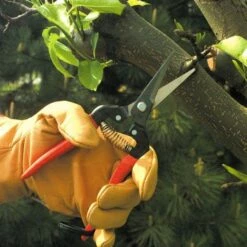 ARS Needle Nose Hand Shears, 7.5-inch Overall Length 11 ARS Needle Nose Hand Shears, 7.5-inch Overall Length -Wilson Bros Gardens Shop 300l 5