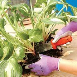 Leonard Deluxe Soil Knife, Pruner, Saw, And Sheath Combo 24 Leonard Deluxe Soil Knife, Pruner, Saw, And Sheath Combo -Wilson Bros Gardens Shop 4752 4 1