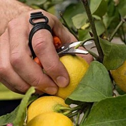 Leonard Harvesting Shear With Finger Strap 9 Leonard Harvesting Shear With Finger Strap -Wilson Bros Gardens Shop 512hv 4