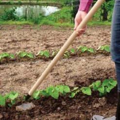 PROHOE 5.5-inch Garden Hoe 10 PROHOE 5.5-inch Garden Hoe -Wilson Bros Gardens Shop 575g 4