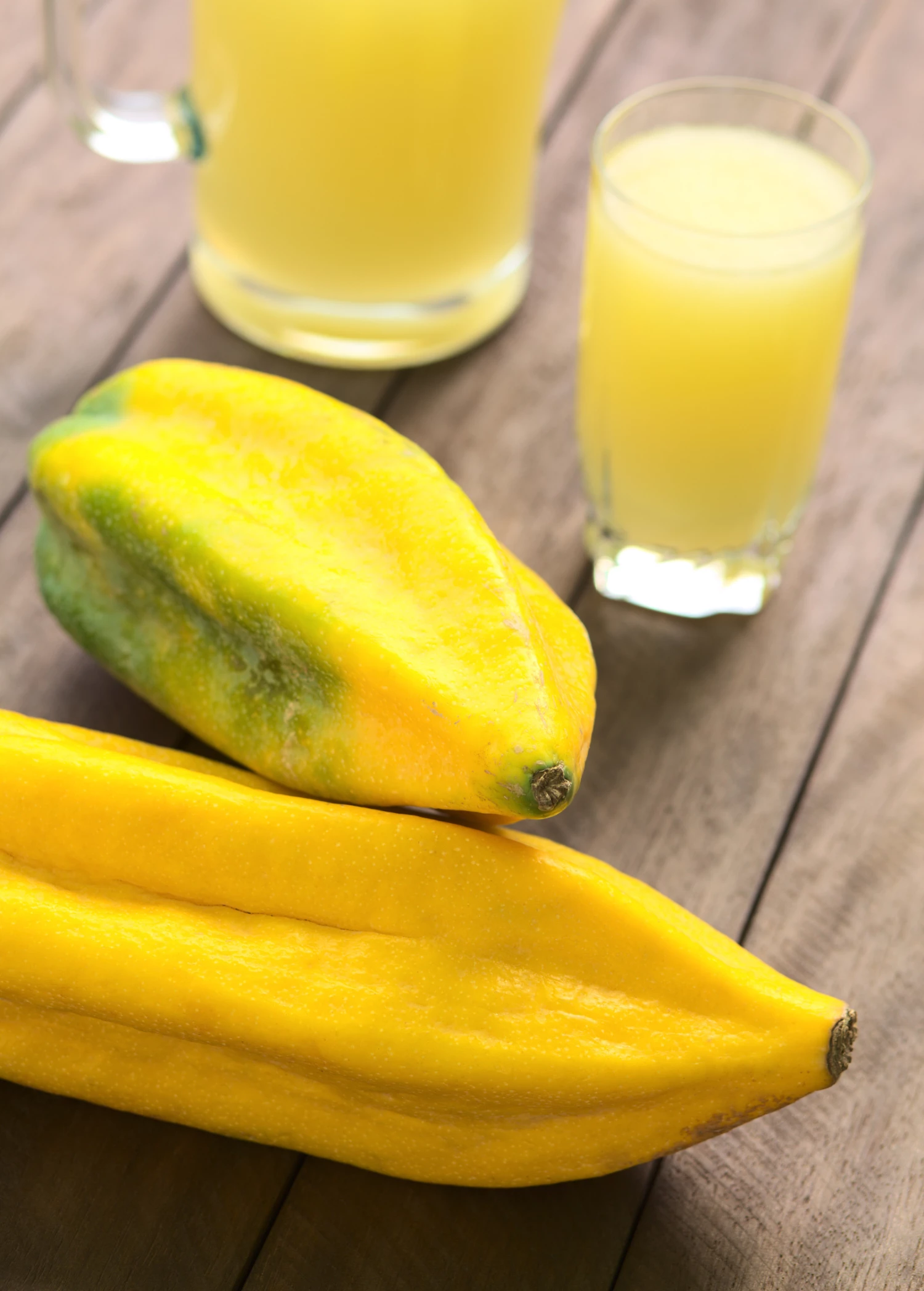 Babaco, Mountain Papaya (Carica Pentagona) 1 Babaco, Mountain Papaya (Carica Pentagona)