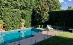 Bay Laurel (Sweet Bay) - Laurus Nobilis - 2 Gallon Pot 13 Bay Laurel (Sweet Bay) - Laurus Nobilis - 2 Gallon Pot -Wilson Bros Gardens Shop Bay Laurel 7 2