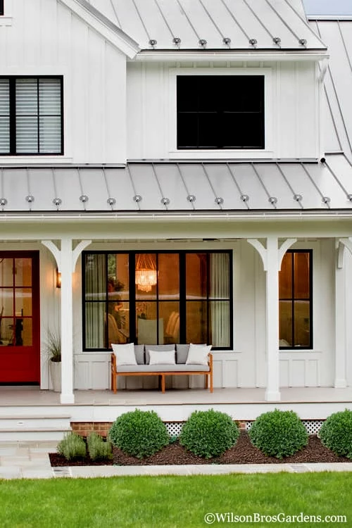 Korean Dwarf Boxwood - Buxus Sinica Var. Insularis 'Nana' - 6 Pack Of 1 Gallon Pots 4 Korean Dwarf Boxwood - Buxus Sinica Var. Insularis 'Nana' - 6 Pack Of 1 Gallon Pots - Image 4