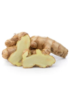 Turmeric, White (Curcuma Zedoaria)