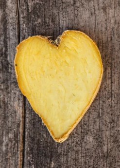 Ginger, Yellow (Zingiber Officinale) -Wilson Bros Gardens Shop Ginger Zingiber officinale root heart