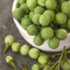 Pea Eggplant (Solanum Torvum)
