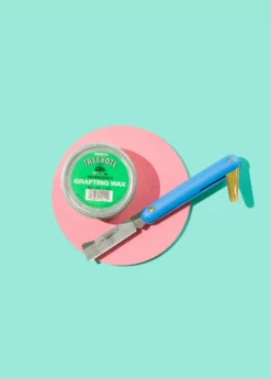 Folding Budding And Grafting Knife -Wilson Bros Gardens Shop Sow Exotic Plant Nursery garden tools grafting wax knife 40447d4d 7c8e 4763 b6d2 984df03d1999