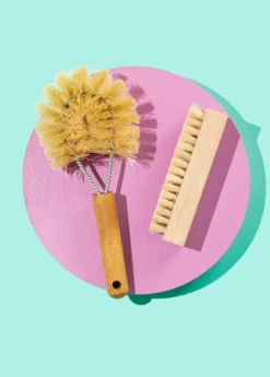 Vegetable Brush
