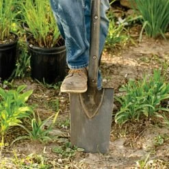 Leonard Full Strap Diamond Point Spade With Straight Handle And Rubber Foot Pad 9 Leonard Full Strap Diamond Point Spade With Straight Handle And Rubber Foot Pad -Wilson Bros Gardens Shop a13d 5 2