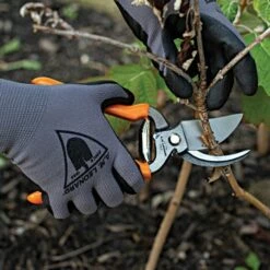 Leonard Forged Bypass Pruning Shear With Vinyl Grip -Wilson Bros Gardens Shop a200 live horz