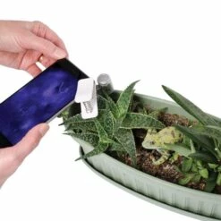 Active Eye Universal Mobile Phone Microscope -Wilson Bros Gardens Shop aem60c 5