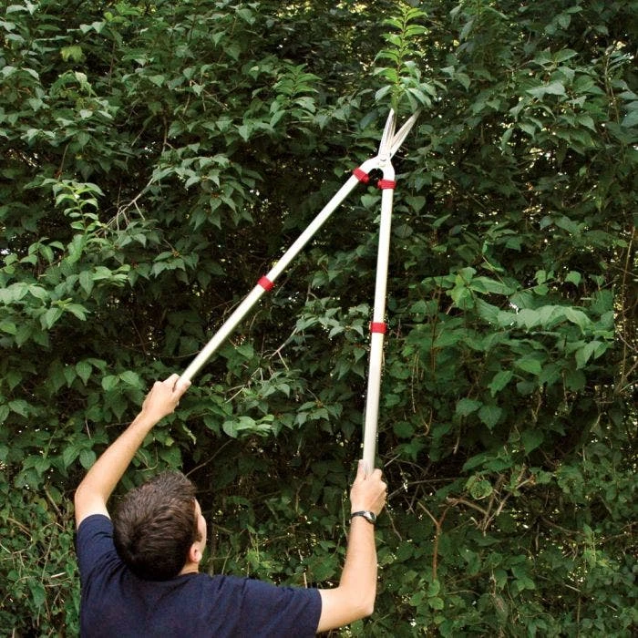 ARS 6-inch Blade Hedge Shears, Telescoping 28.25 - 41.5 Inches 2 ARS 6-inch Blade Hedge Shears, Telescoping 28.25 - 41.5 Inches - Image 2