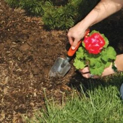 Front Page -Wilson Bros Gardens Shop at10 1