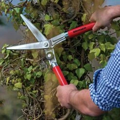 Berger Compact Precision Topiary Shear With Wooden Handles 7 Berger Compact Precision Topiary Shear With Wooden Handles -Wilson Bros Gardens Shop b2510 live2