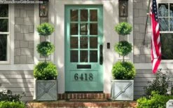 Green Mountain Boxwood 3-Ball Poodle Tier Topiary - 6 Gallon Pot -Wilson Bros Gardens Shop buxus green mountain 3 ball topiary 20