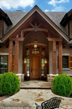 Winterstar Boxwood - 2 Gallon Pot -Wilson Bros Gardens Shop buxus winterstar boxwood 3