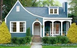 Gold Mop Threadleaf Cypress - 3 Gallon Pot -Wilson Bros Gardens Shop chamaecyparis pisifera gold mop cypress 105