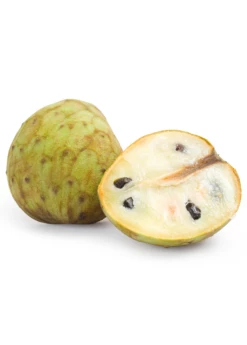 Cherimoya (Annona Cherimola) -Wilson Bros Gardens Shop cherimoyasowexotic