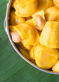 Jackfruit 'Crunchy' (Artocarpus Heterophyllus) -Wilson Bros Gardens Shop crunchjackfruitfruittreeliveplantforsalesowexotic