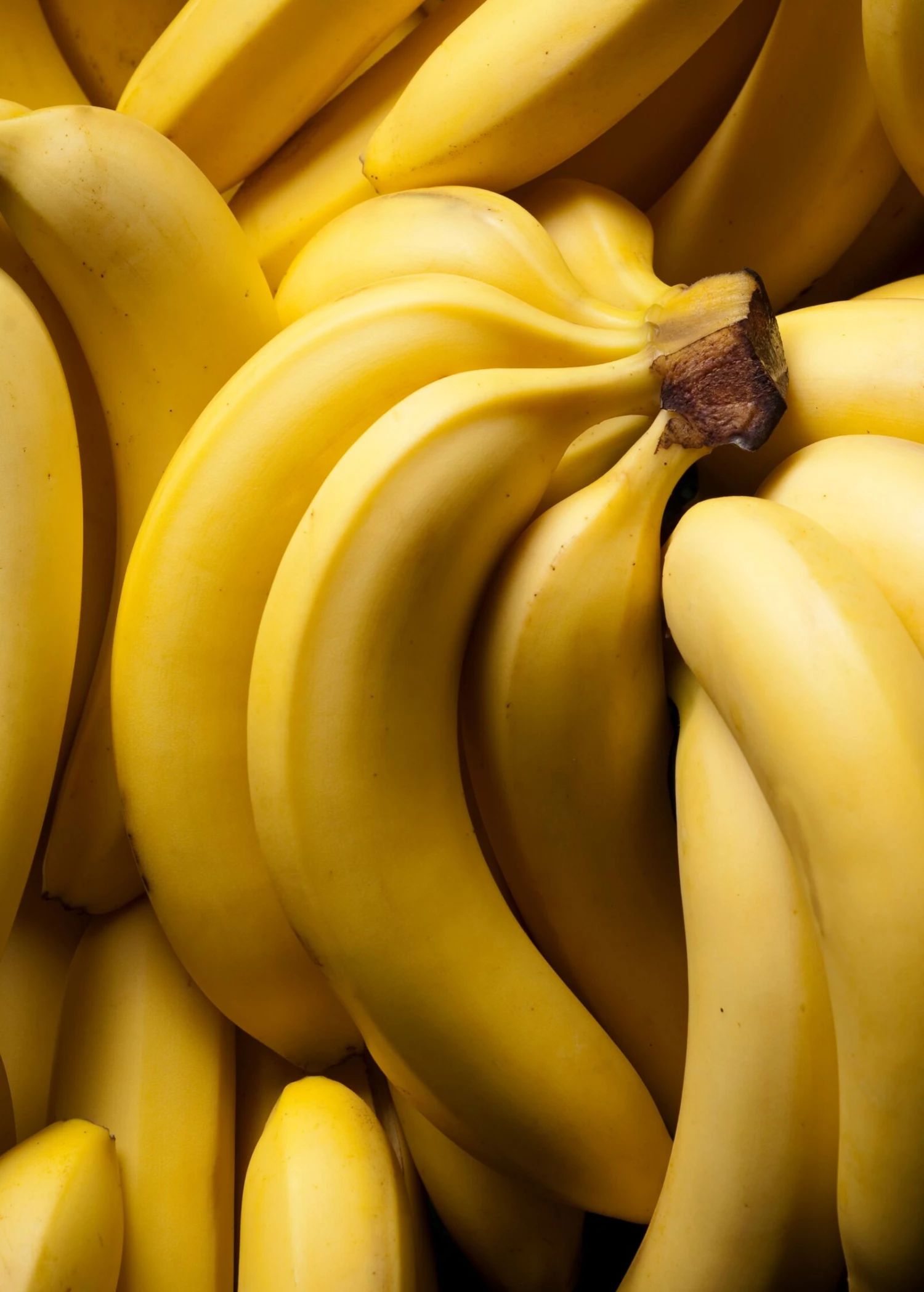 Banana 'Dwarf Cavendish' (Musa Acuminata) 5 Banana 'Dwarf Cavendish' (Musa Acuminata) - Image 5