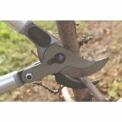 New Release -Wilson Bros Gardens Shop f220 live horz