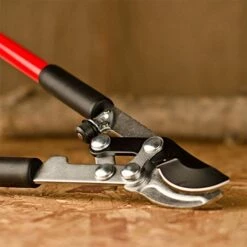 Corona Easy Cut Extendable Bypass Lopper -Wilson Bros Gardens Shop fl3471 3 1
