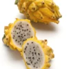 Dragon Fruit, Yellow (Selenicereus Megalanthus)