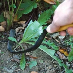 Front Page -Wilson Bros Gardens Shop hbwi 1 1