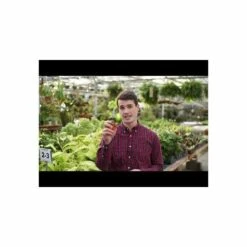 Leonard Stainless Steel Hand Shears, 6.375-inch Length 5 Leonard Stainless Steel Hand Shears, 6.375-inch Length -Wilson Bros Gardens Shop hqdefault 15 8